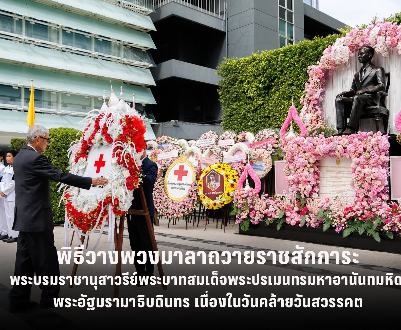 n20260610_6131.jpg